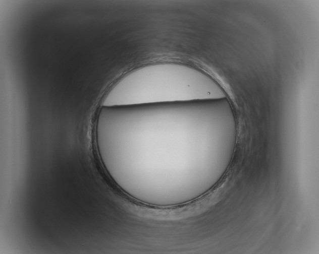 X0000102290010200807251010