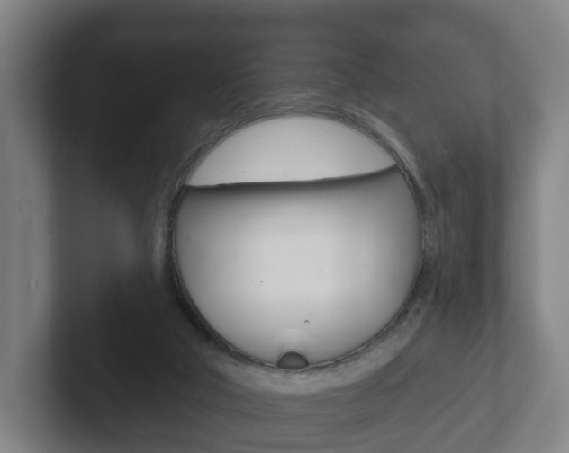 X0000102290018200807251010