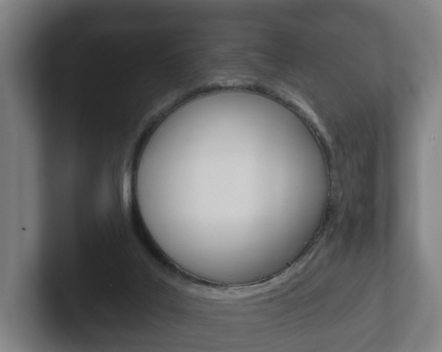 X0000102290019200807251010