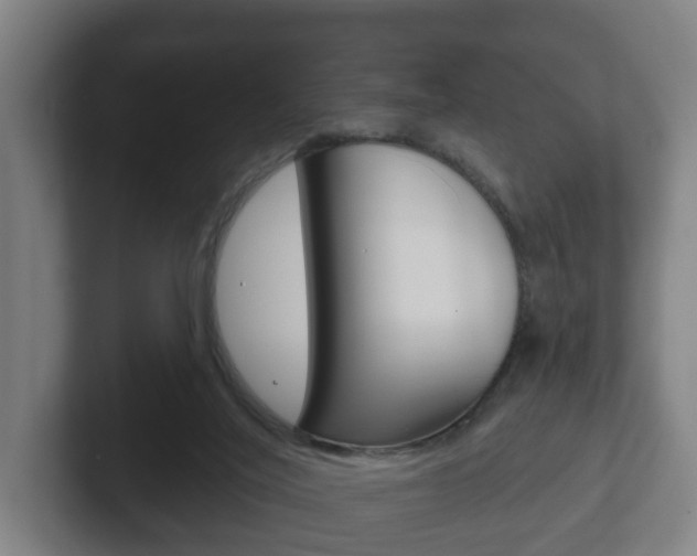 X0000102290020200807251010
