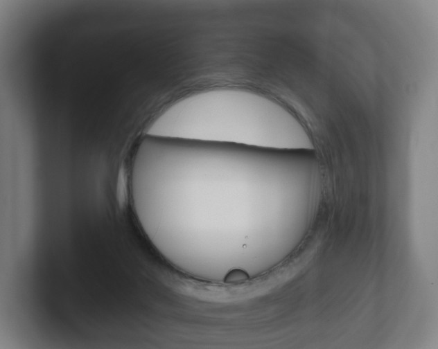 X0000102290022200807251010