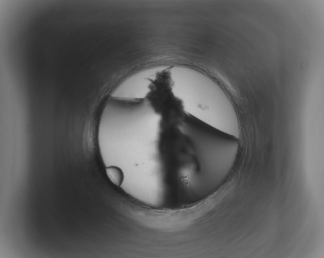 X0000102290023200807251010