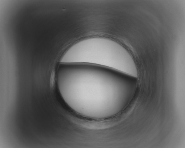 X0000102290024200807251010