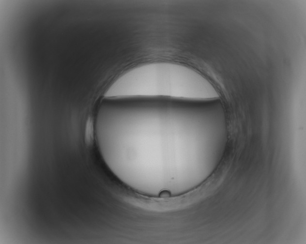 X0000102290027200807251010