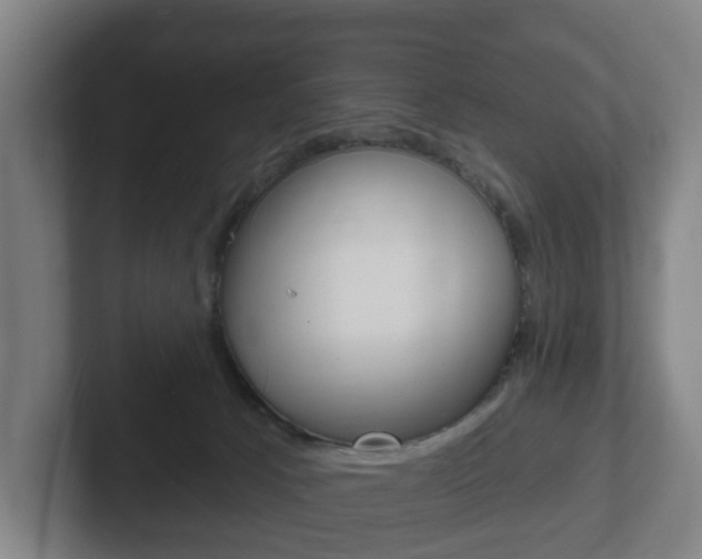 X0000102290033200807251010