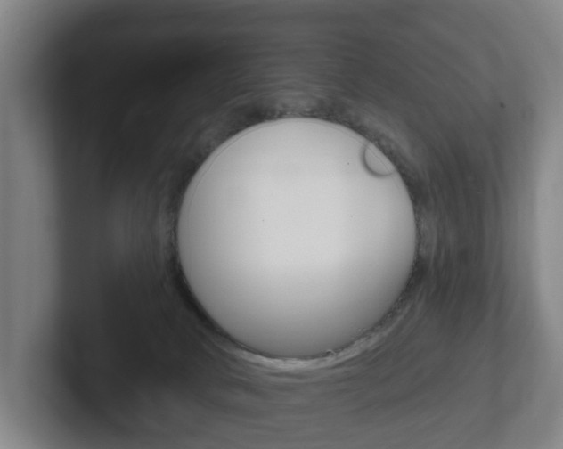 X0000102290034200807251010