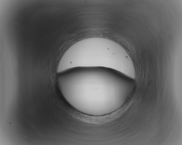 X0000102290035200807251010