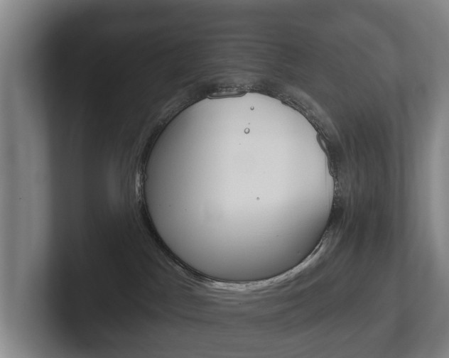 X0000102290045200807251010