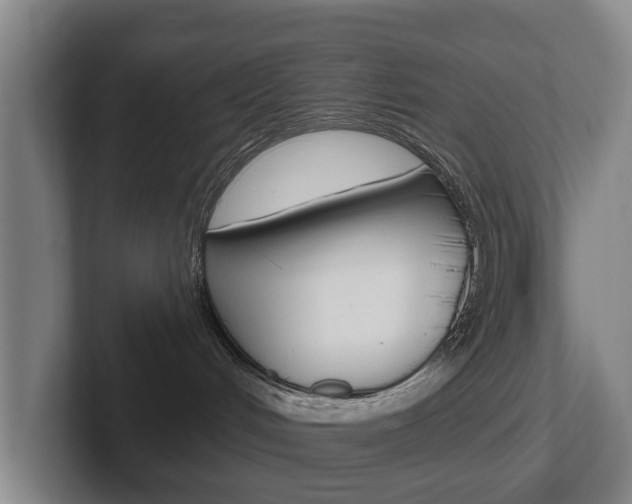X0000102290048200807251010