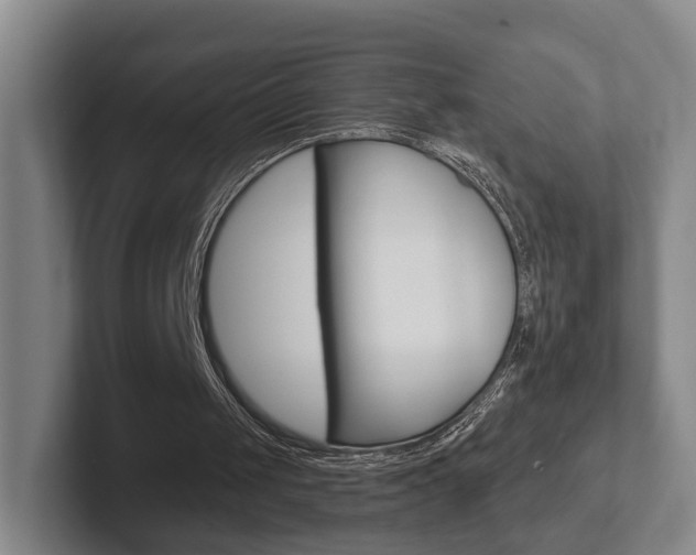 X0000102290049200807251009