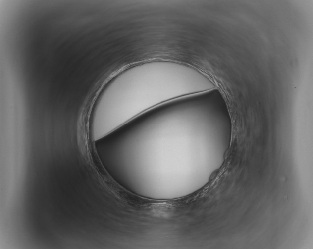 X0000102290050200807251009