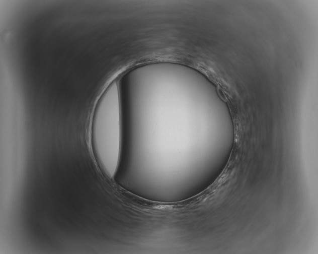 X0000102290052200807251009