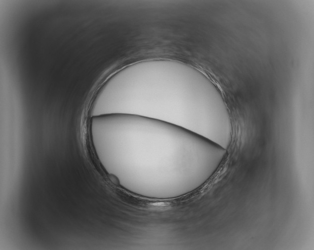 X0000102290053200807251009