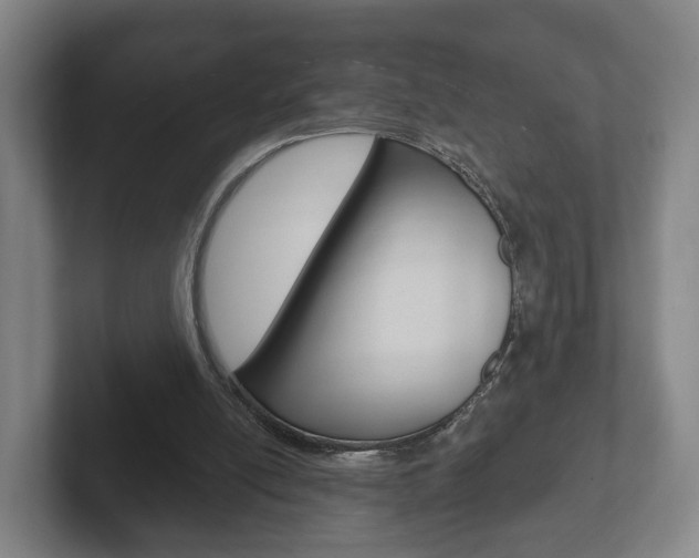 X0000102290054200807251009