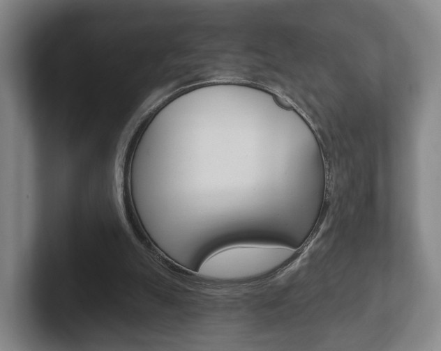 X0000102290055200807251009