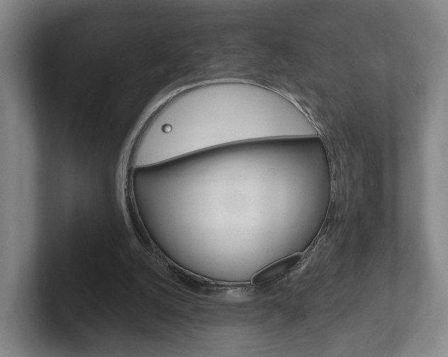 X0000102290056200807251009
