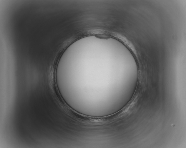 X0000102290057200807251009