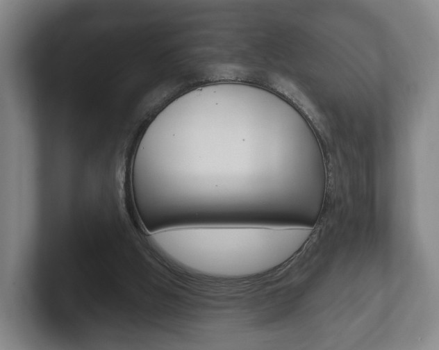 X0000102290058200807251009