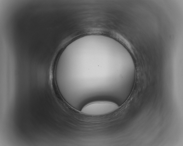 X0000102290059200807251009