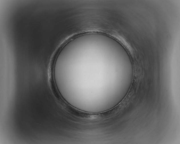 X0000102290060200807251009