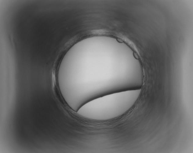 X0000102290061200807251009