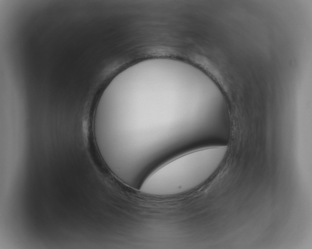X0000102290063200807251009