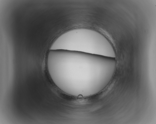 X0000102290065200807251009
