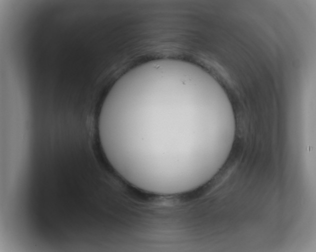 X0000102290077200807251009