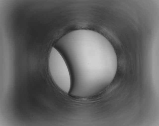 X0000102290079200807251009