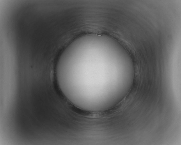 X0000102290080200807251009