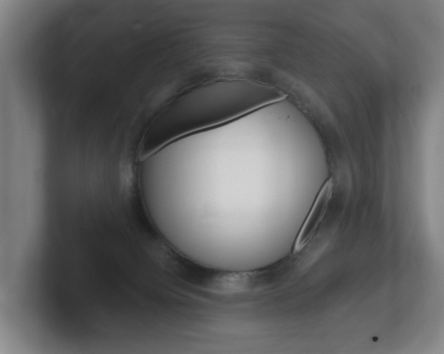 X0000102290084200807251010
