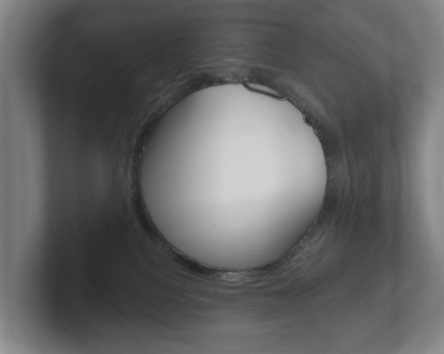 X0000102290088200807251010