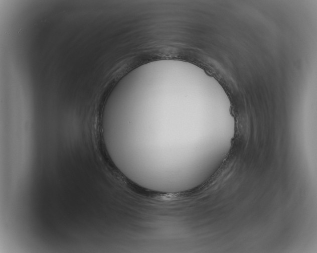 X0000102290092200807251010