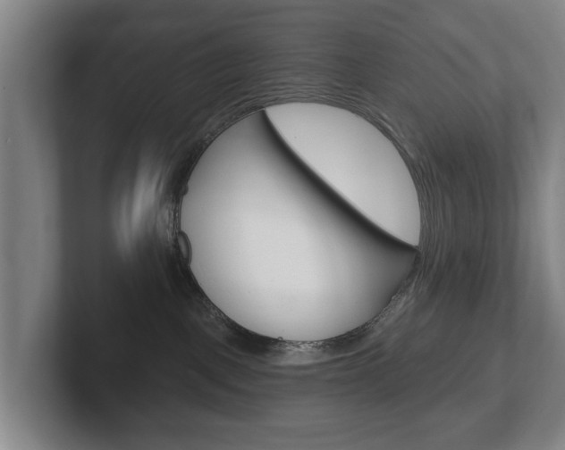X0000102290093200807251010