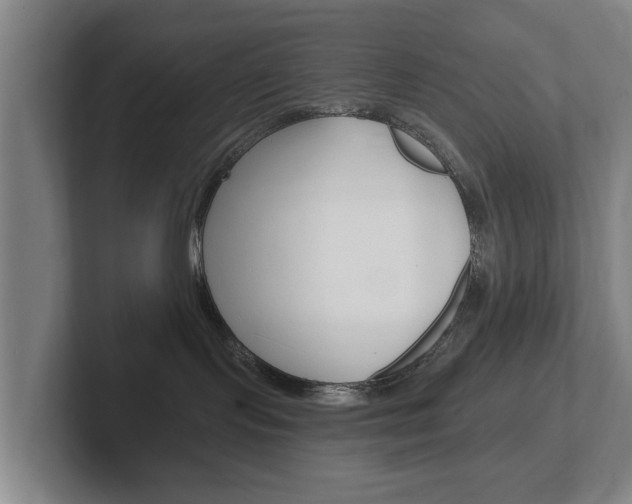X0000102290095200807251010