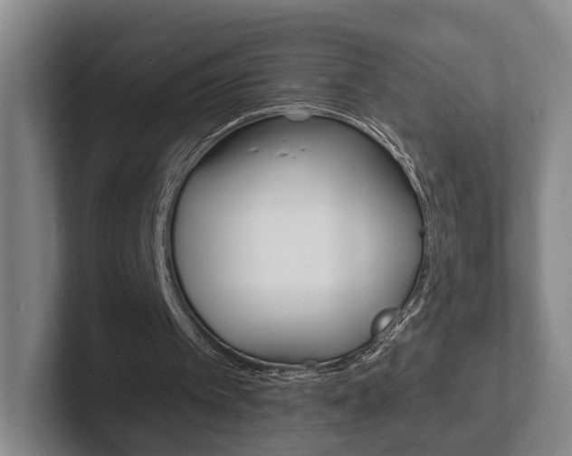 X0000102290097200807251009