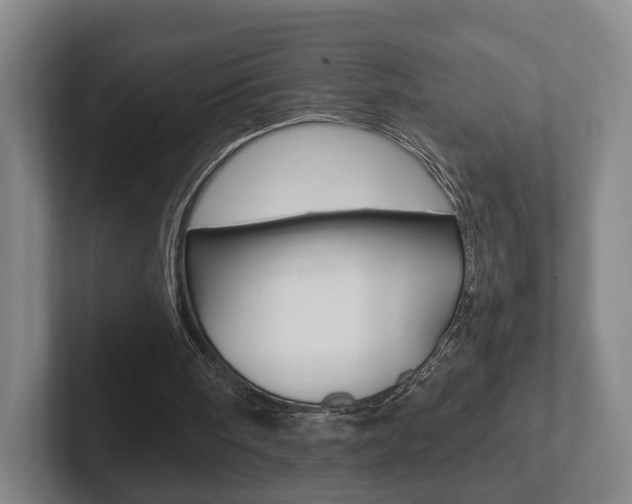X0000102290098200807251009
