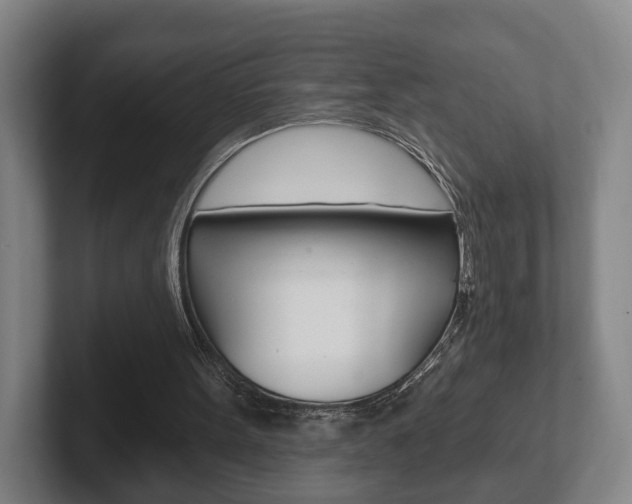 X0000102290099200807251009