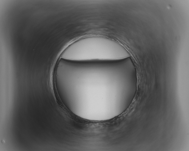 X0000102290100200807251009