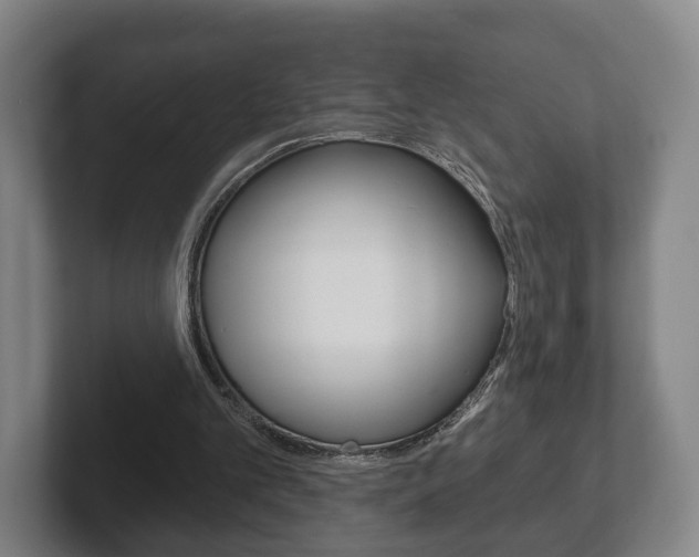 X0000102290101200807251009