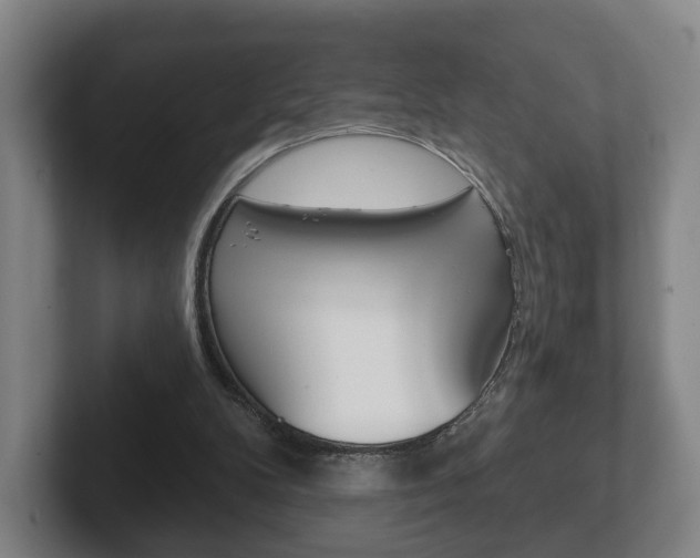 X0000102290104200807251009