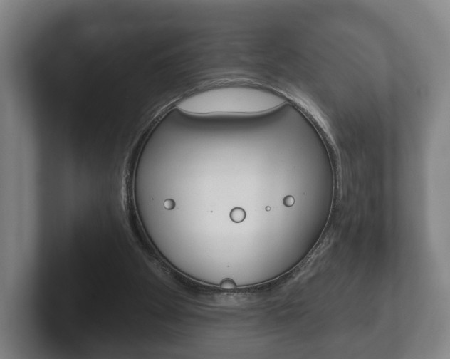 X0000102290105200807251009