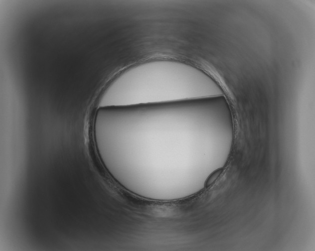 X0000102290106200807251009