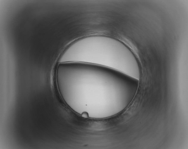 X0000102290107200807251009