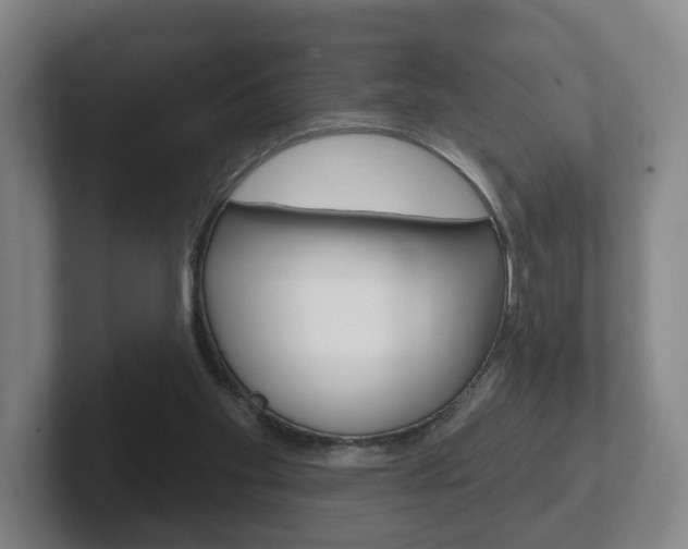 X0000102290109200807251009