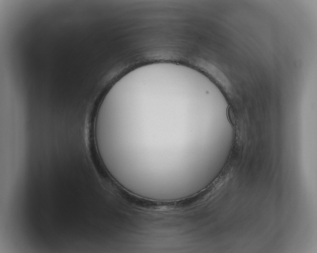 X0000102290111200807251009