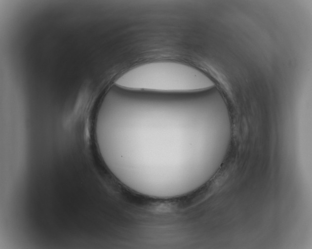 X0000102290115200807251009