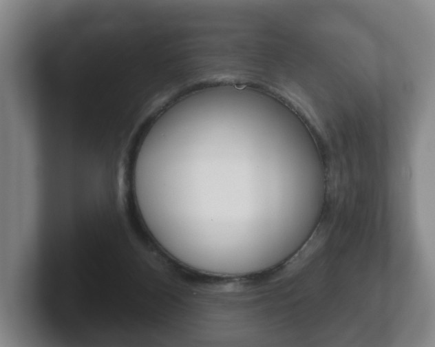 X0000102290116200807251009