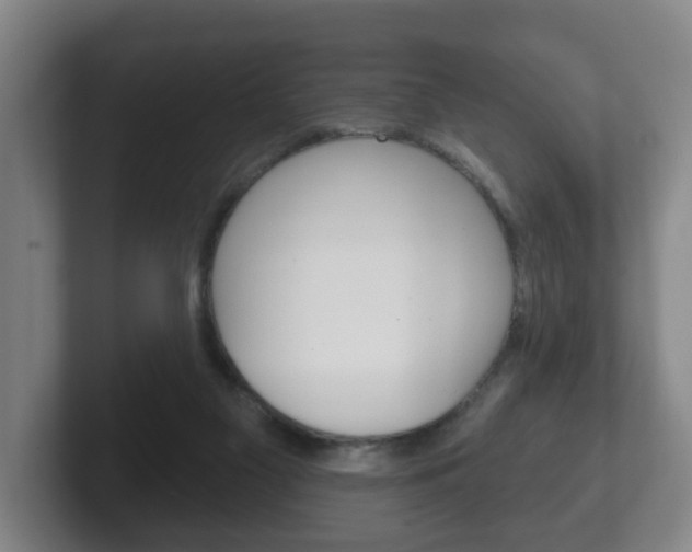 X0000102290117200807251009