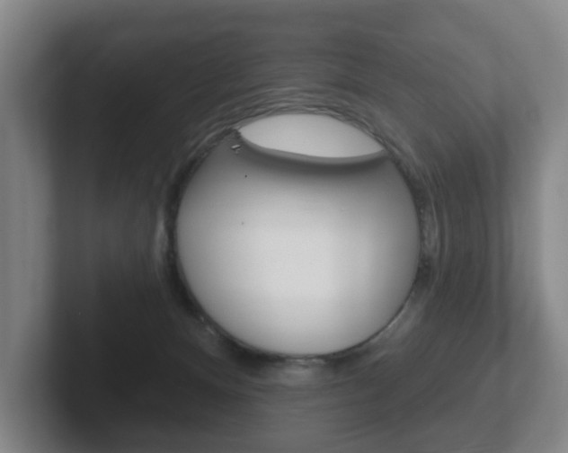 X0000102290128200807251009